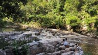 Malaysia. Taman Negara Nationalpark. Kaskaden und Eskapaden