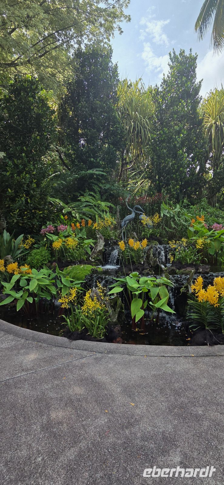 National Orchid Graden - Singapur