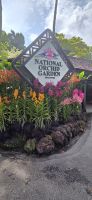 National Orchid Graden - Singapur