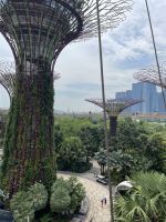 OCBC Skywalk