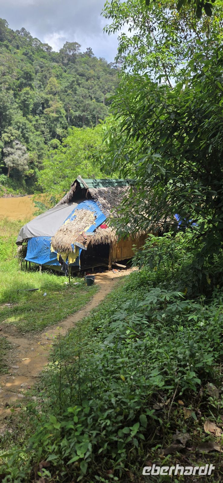 Oran Asli - Taman Negara