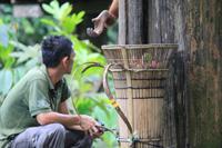 Orang Utan Mädchen