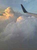 Rückflug