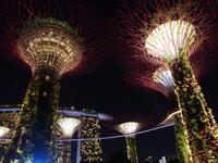 Rundreise Singapur & Malaysia, Singapur, Gardens By The Bay, Lichtershow