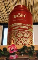 Schicke Teebüchse auf der Plantage