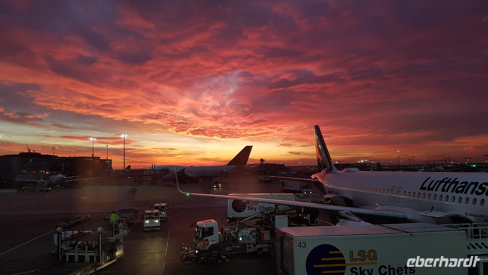 Singapur, Rückflug