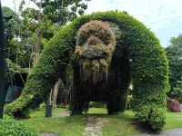 Singapur. Gardens by the Bay Gorilla