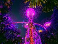 Supertrees