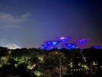 Tag 3 - Sky Tree Lichtshow