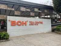 Teeplantage, Cameron Highlands, Malaysia.jpeg