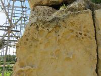 Der weiche Kalkstein