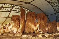 Hagar Qim - Ausgrabungsstätte Hagar Qim - Malta