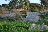 Hagar Qim - Ausgrabungsstätte Hagar Qim - Malta
