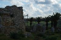 Ausflug Gozo - Megalianthentempel von Ggantija