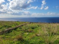 Südküste/Blick auf Insel Fifla/Malta