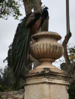 San Anton Gärten  &ndash; &copy; Beate Klingebiel (Eberhardt TRAVEL)