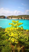 Comino blaue Lagune  &ndash; &copy; Beate Klingebiel (Eberhardt TRAVEL)