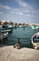 Malta Marsaxloxx  &ndash; &copy; Beate Klingebiel (Eberhardt TRAVEL)