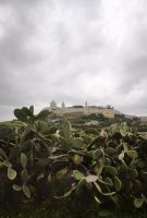 Malta Mdina &ndash; &copy; Beate Klingebiel (Eberhardt TRAVEL)