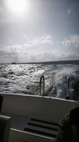 Speedboot nach Gozo  &ndash; &copy; Beate Klingebiel (Eberhardt TRAVEL)