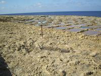 Salinen auf Gozo