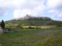 Blick auf Mdina