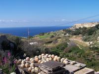 Kürbisse auf den Dächern von Malta