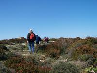 Über Stock und Stein