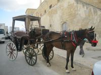 IMG_2328 Droschken v. Malta 1PS &ndash; &copy; Kerstin Veit (Eberhardt TRAVEL)