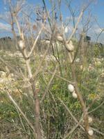 IMG_2346 &ndash; &copy; Kerstin Veit (Eberhardt TRAVEL)