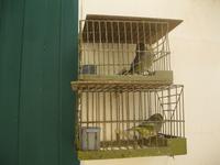 IMG_2362 Vogelkult  &ndash; &copy; Kerstin Veit (Eberhardt TRAVEL)