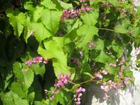 IMG_2370 &ndash; &copy; Kerstin Veit (Eberhardt TRAVEL)