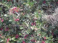 IMG_2390 &ndash; &copy; Kerstin Veit (Eberhardt TRAVEL)