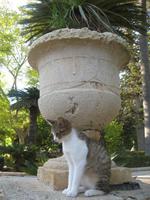 IMG_2426 San Antons Garden &ndash; &copy; Kerstin Veit (Eberhardt TRAVEL)