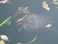 IMG_2428 &ndash; &copy; Kerstin Veit (Eberhardt TRAVEL)