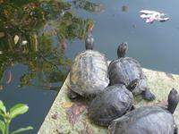 IMG_2430 &ndash; &copy; Kerstin Veit (Eberhardt TRAVEL)