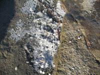 IMG_2465 Salzkristalle am Fels &ndash; &copy; Kerstin Veit (Eberhardt TRAVEL)