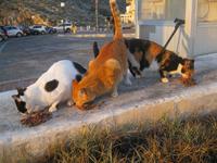 IMG_2545 &ndash; &copy; Kerstin Veit (Eberhardt TRAVEL)