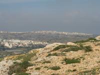 Blick auf Mellieha