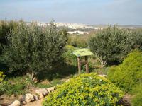 Steingarten am Wachturm oberhalb der Golden Bay