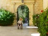 im Präsidentenpalast