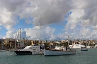 Ausblick während der Hafenrundfahrt