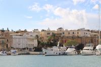 Ausblick während der Hafenrundfahrt