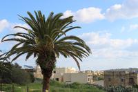 Ggantija Tempelanlage in Xaghra