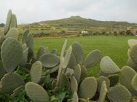 Wanderung entlang der Chadwick Lakes