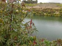 Wanderung entlang der Chadwick Lakes