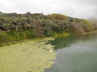 Wanderung entlang der Chadwick Lakes