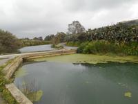 Wanderung entlang der Chadwick Lakes