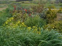 Wanderung hinauf nach Mtarfa