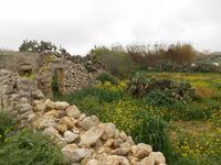 Wanderung hinauf nach Mtarfa